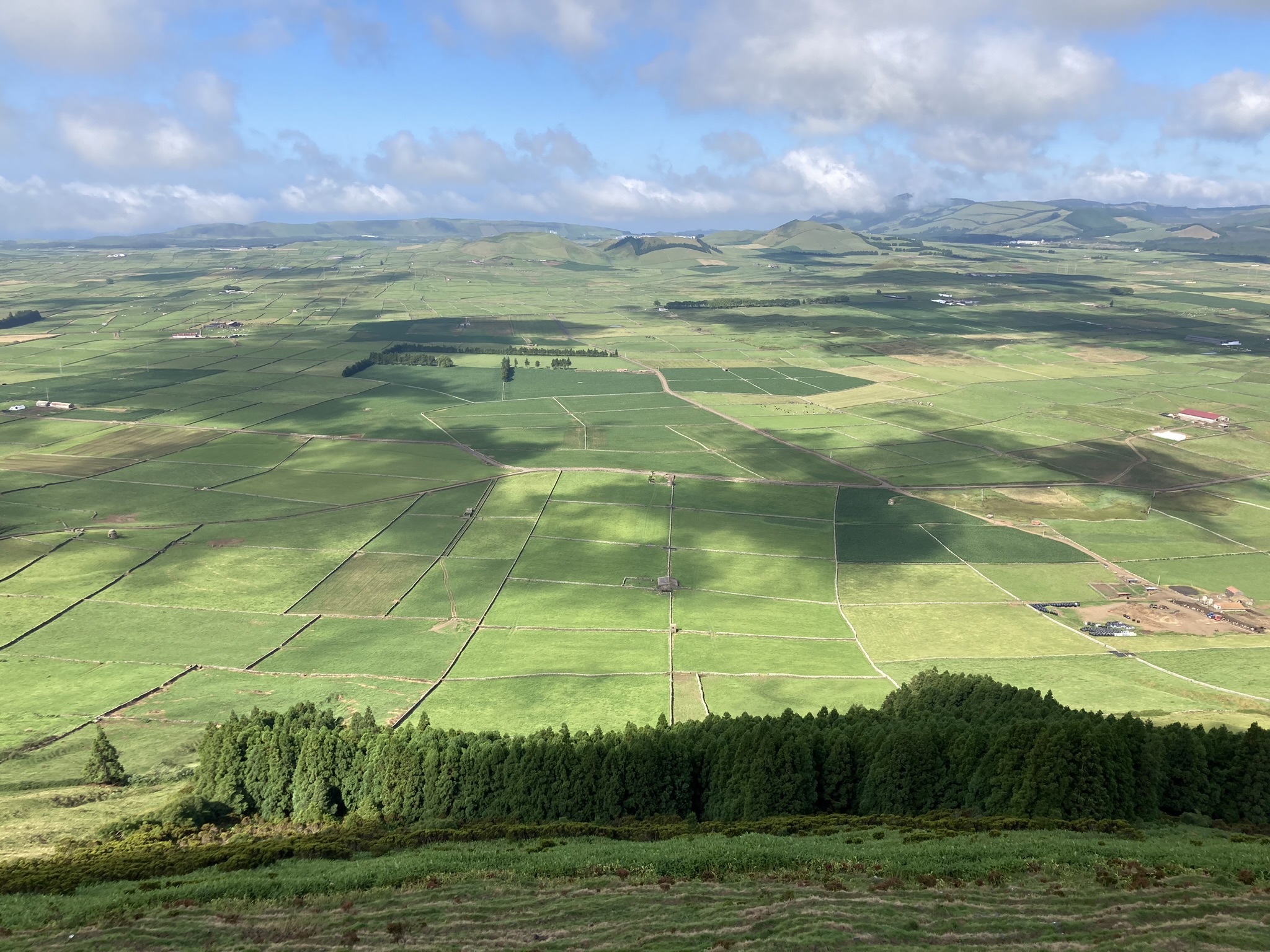 Paysage agricole en damier à Terceira